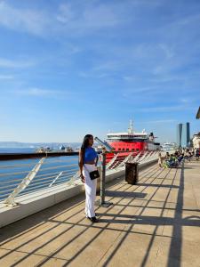 Transexual en Alicante: 