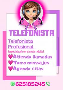 625185245: Chica busca chico en Toledo