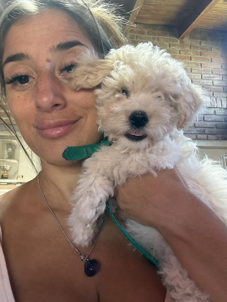 Virtual en Madrid: Virtual