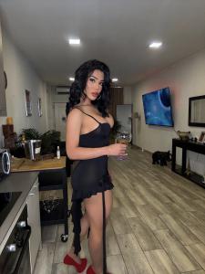 Travesti en Málaga: 