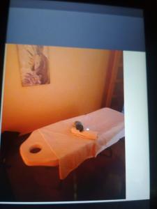 Chica busca chico en Guipúzcoa: 