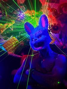 655304986: Chico busca chica en Madrid