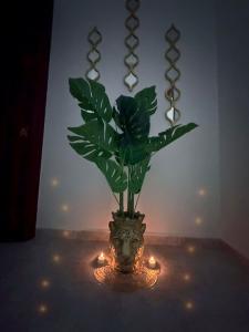 603213812: Chica busca chico en Ciudad Real