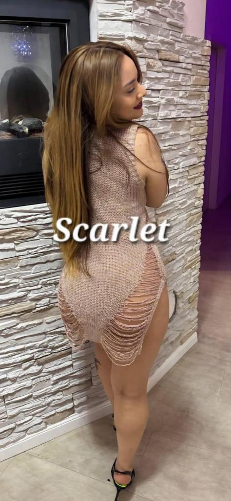 Chica busca chico en Ciudad Real: 