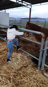 Chica busca chico en Córdoba: 