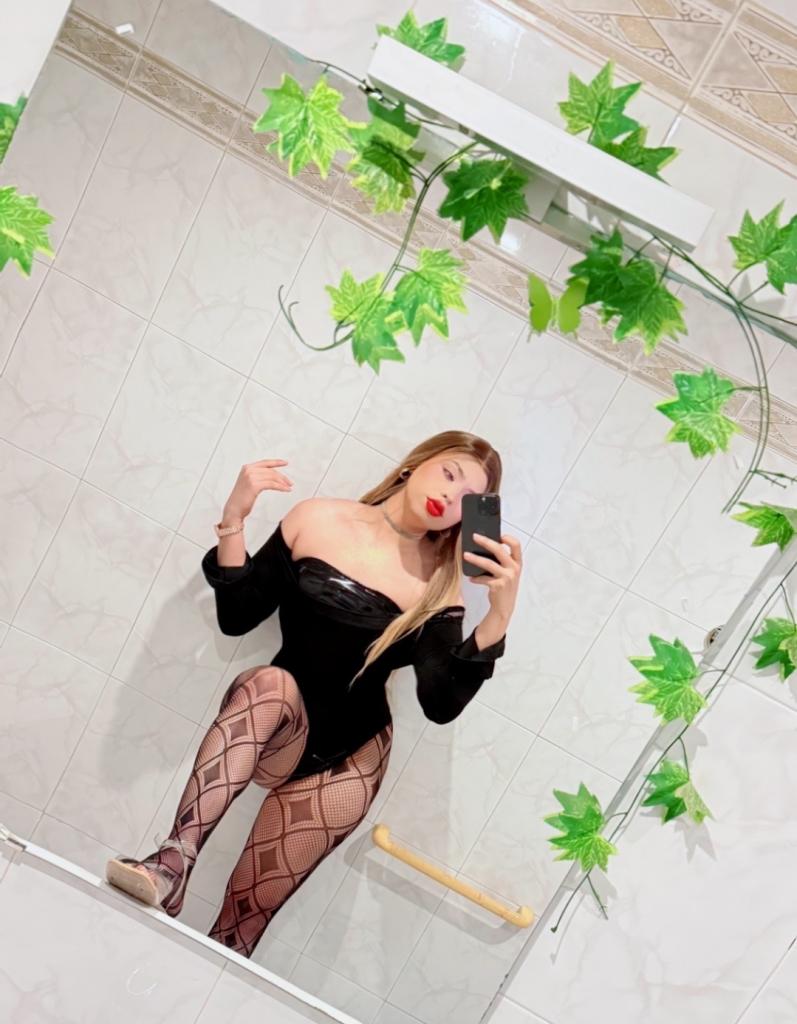 Travesti en Navarra: 