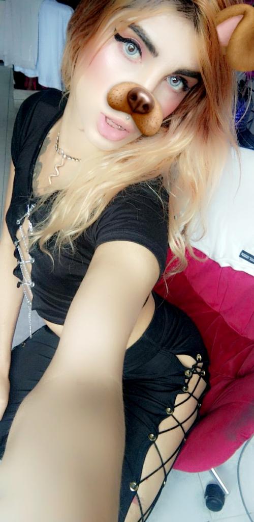 Travesti en Navarra: 