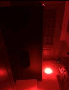 Travesti en Valencia: 