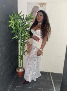 Transexual en Alicante: 