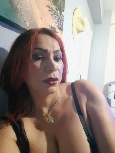 Travesti en Tarragona: 