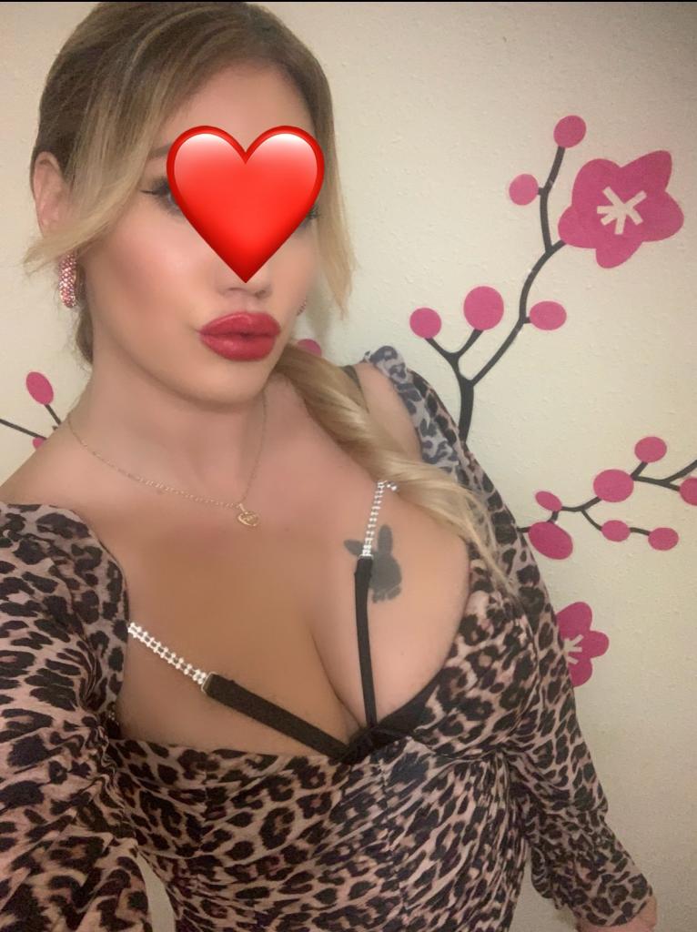 Chica busca chico en Vizcaya: 