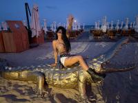 627121209: Chica busca chico en Alicante