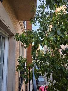 623273733: Chica busca chico en Valencia