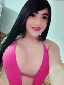 612234035: Travesti en Castellón