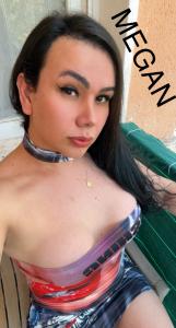 Travesti en Tarragona: 