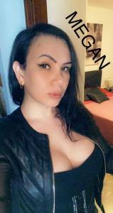 Travesti en Tarragona: 