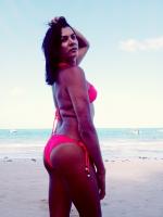 672167663: Travesti en Navarra