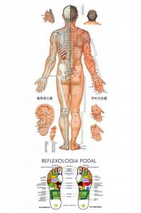 Chica busca chico en Ibiza: 