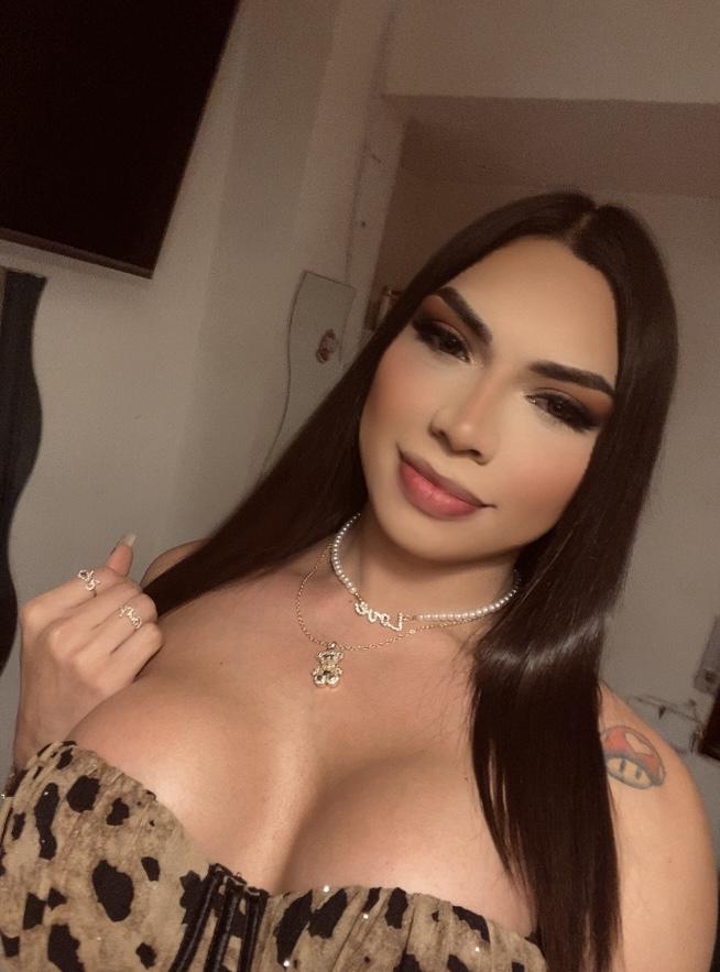 Transexual en Vizcaya: Transexuales y Travestis