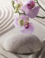 622325662: Chica busca chico en Tenerife