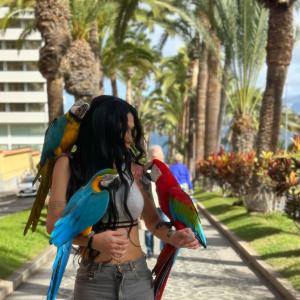 Transexual en Navarra: 