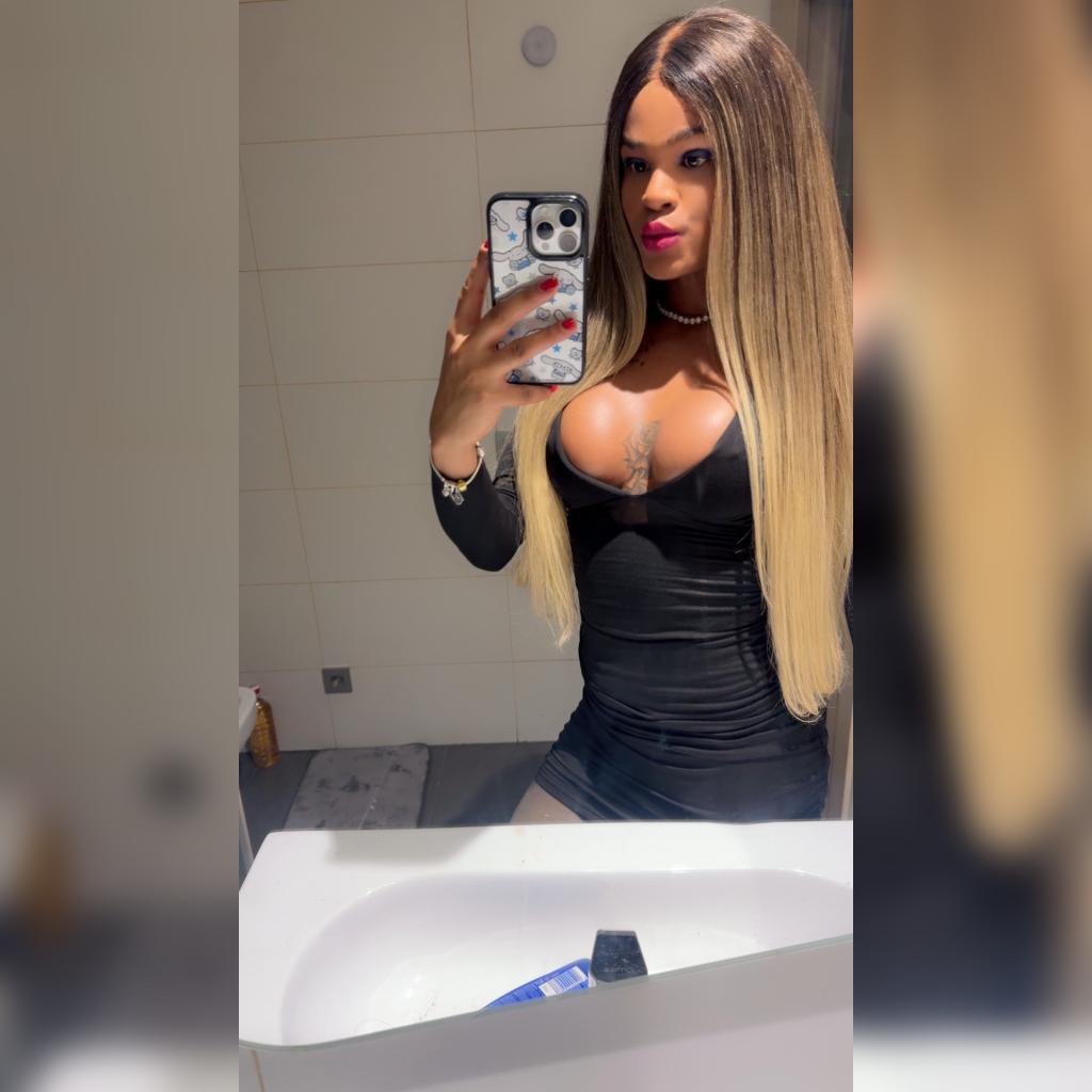 Travesti en Álava: Transexuales y Travestis