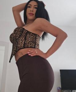 685035084: Transexual en Valencia