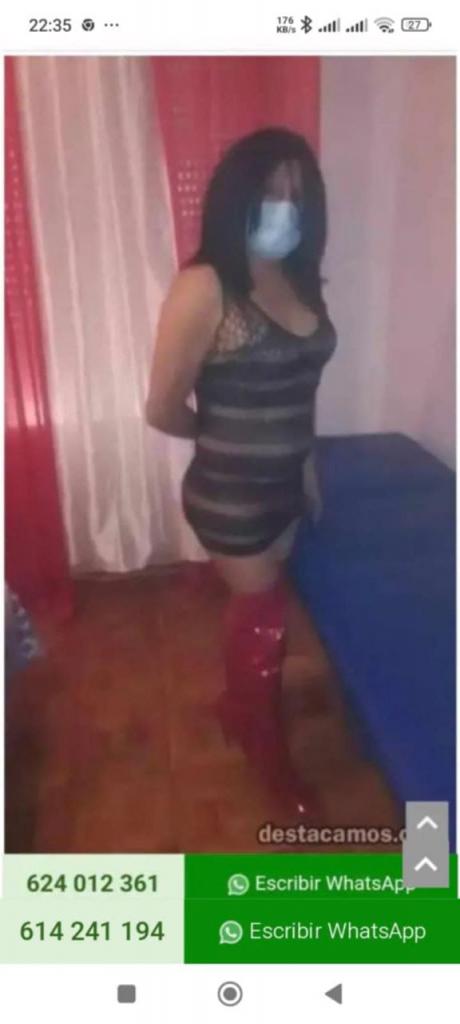 600771148: Travesti en Navarra