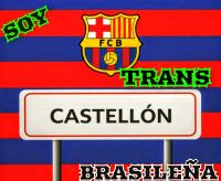 632644093: Chica busca chico en Castellón