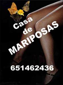 Chica busca chico en Valladolid: 