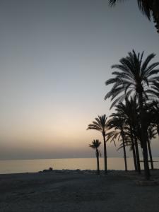 624331822: Chica busca chico en Granada