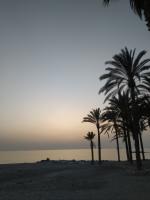 624331822: Chica busca chico en Granada