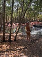 611232410: Chica busca chico en Cádiz