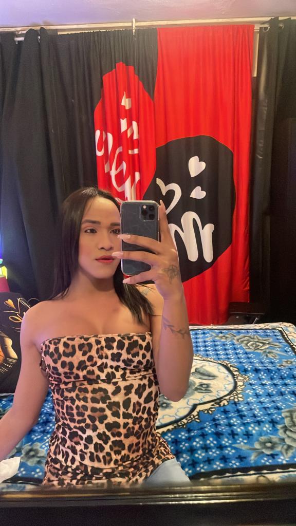 Travesti en Valencia: 