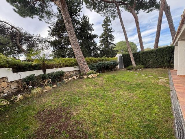 656611034: Chica busca chico en Barcelona