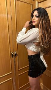 600061068: Travesti en Valladolid