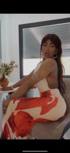 Transexual en Alicante: 