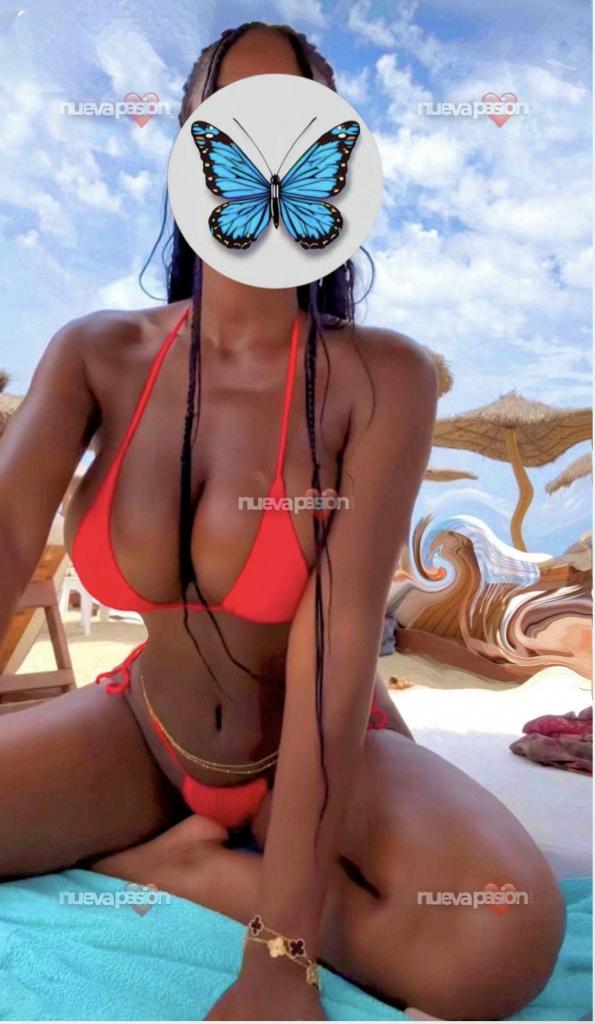 Chica busca chico en Alicante: 