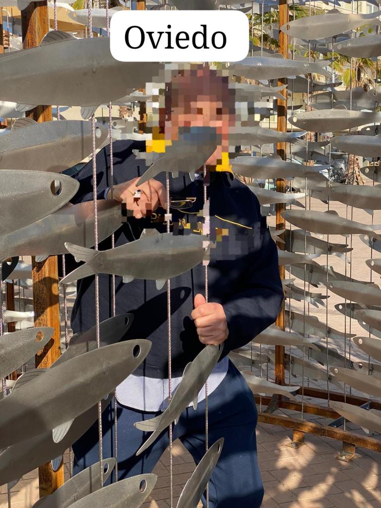 Chico busca chica en Asturias: 