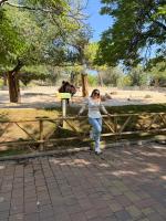 613260543: Chica busca chico en León