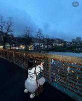 602528571: Chica busca chico en Alicante