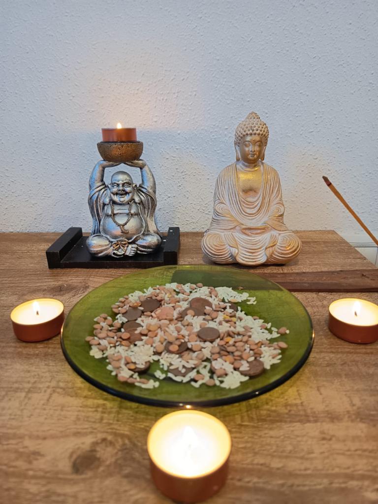 Chica busca chico en Castellón: 