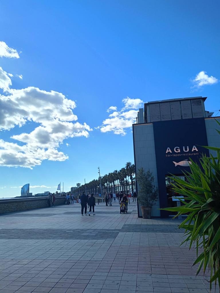 Chica busca chico en Barcelona: 