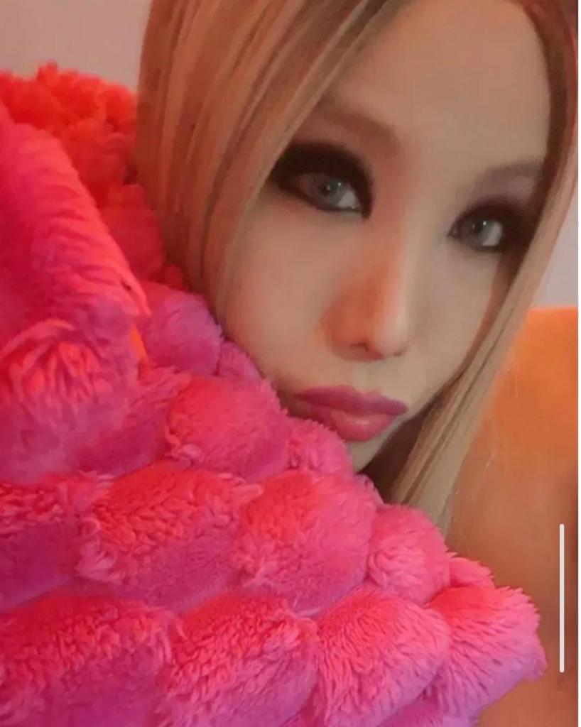 Transexual en Málaga: 