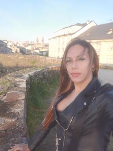 Transexual en Lugo: Transexuales y Travestis