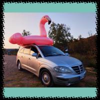 662697246: Chica busca chico en Sevilla