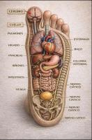 613866932: Chica busca chico en Alicante