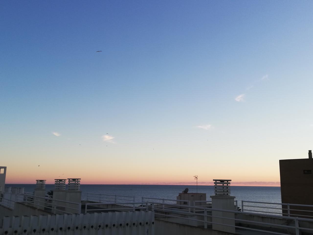 Chico busca chica en Mallorca: 