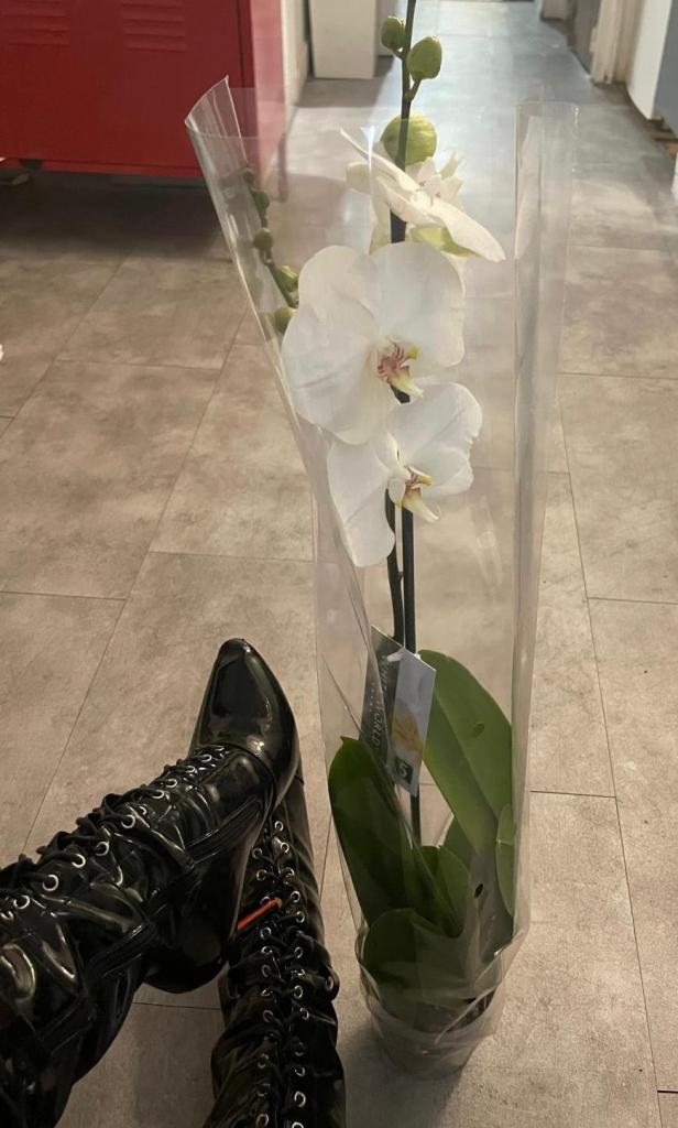 Chica busca chico en Madrid: 