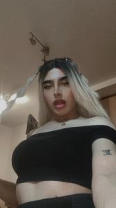 Travesti en Alicante: 